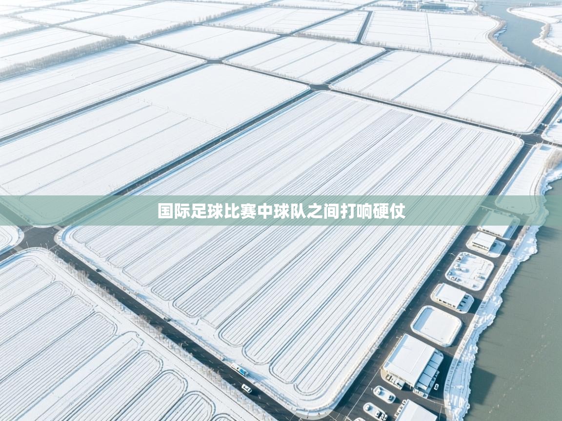 国际足球比赛中球队之间打响硬仗  第2张