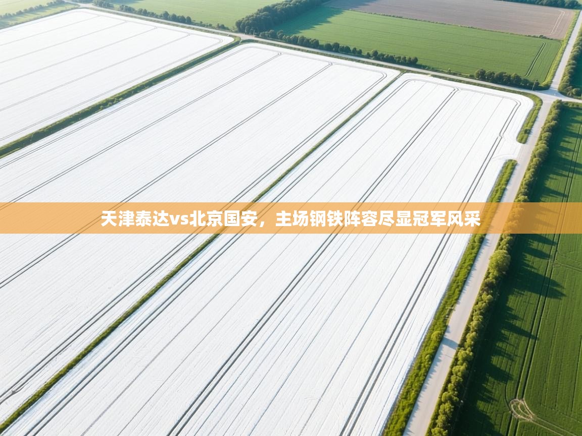 天津泰达vs北京国安,主场钢铁阵容尽显冠军风采 第1张