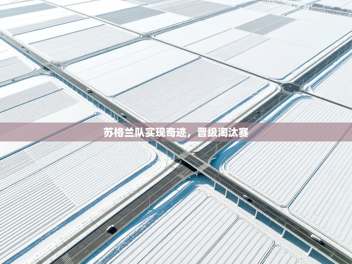 苏格兰队实现奇迹,晋级淘汰赛 第2张