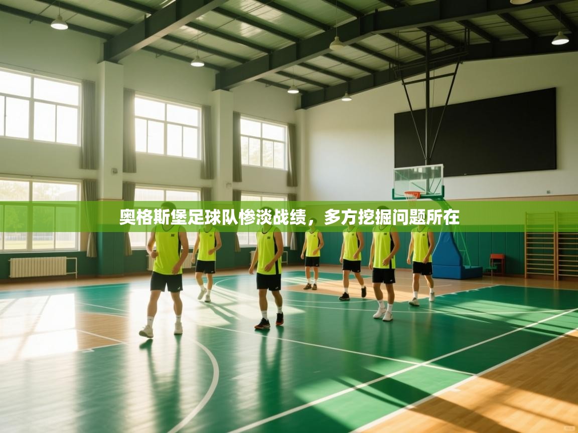 奥格斯堡足球队惨淡战绩，多方挖掘问题所在  第1张