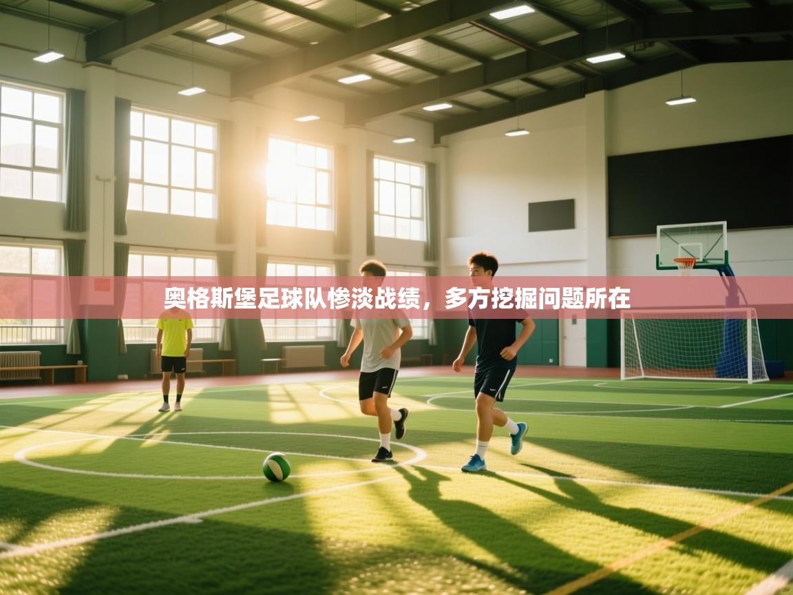 奥格斯堡足球队惨淡战绩，多方挖掘问题所在  第2张