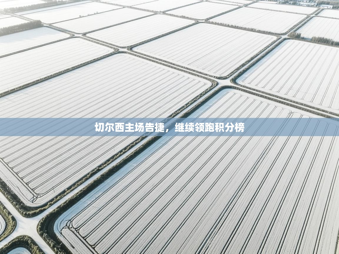 切尔西主场告捷，继续领跑积分榜  第1张