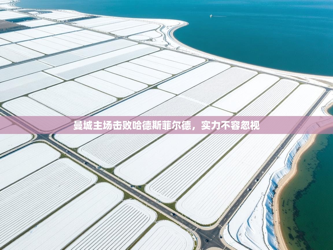 曼城主场击败哈德斯菲尔德，实力不容忽视  第1张