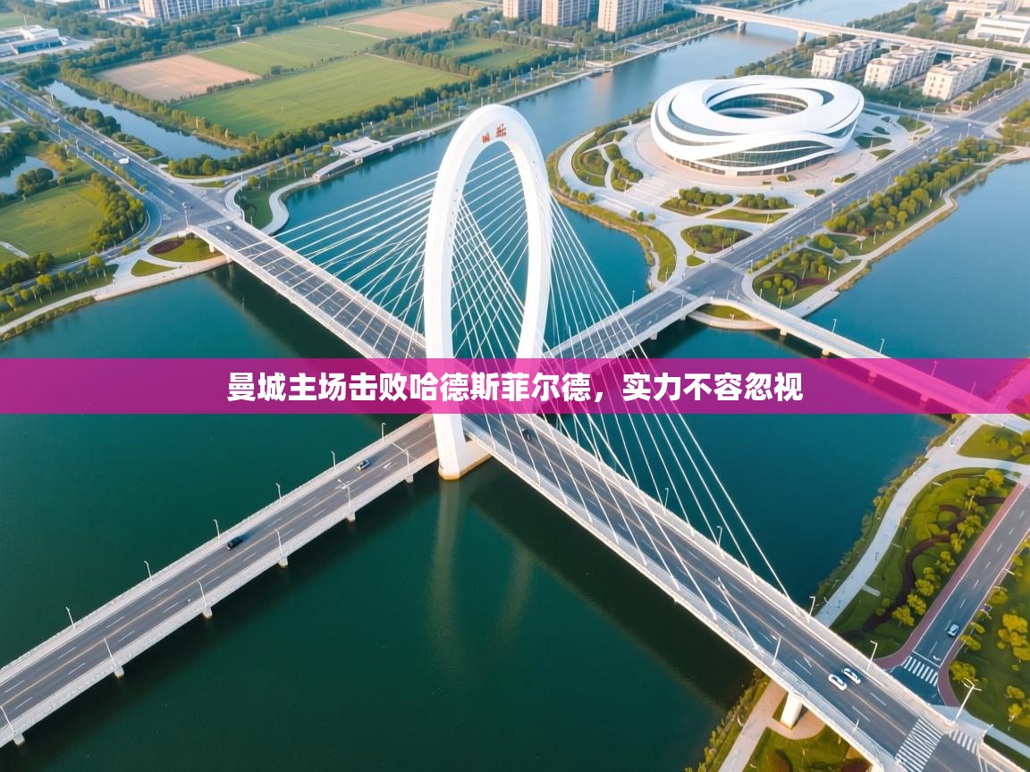 曼城主场击败哈德斯菲尔德，实力不容忽视  第2张